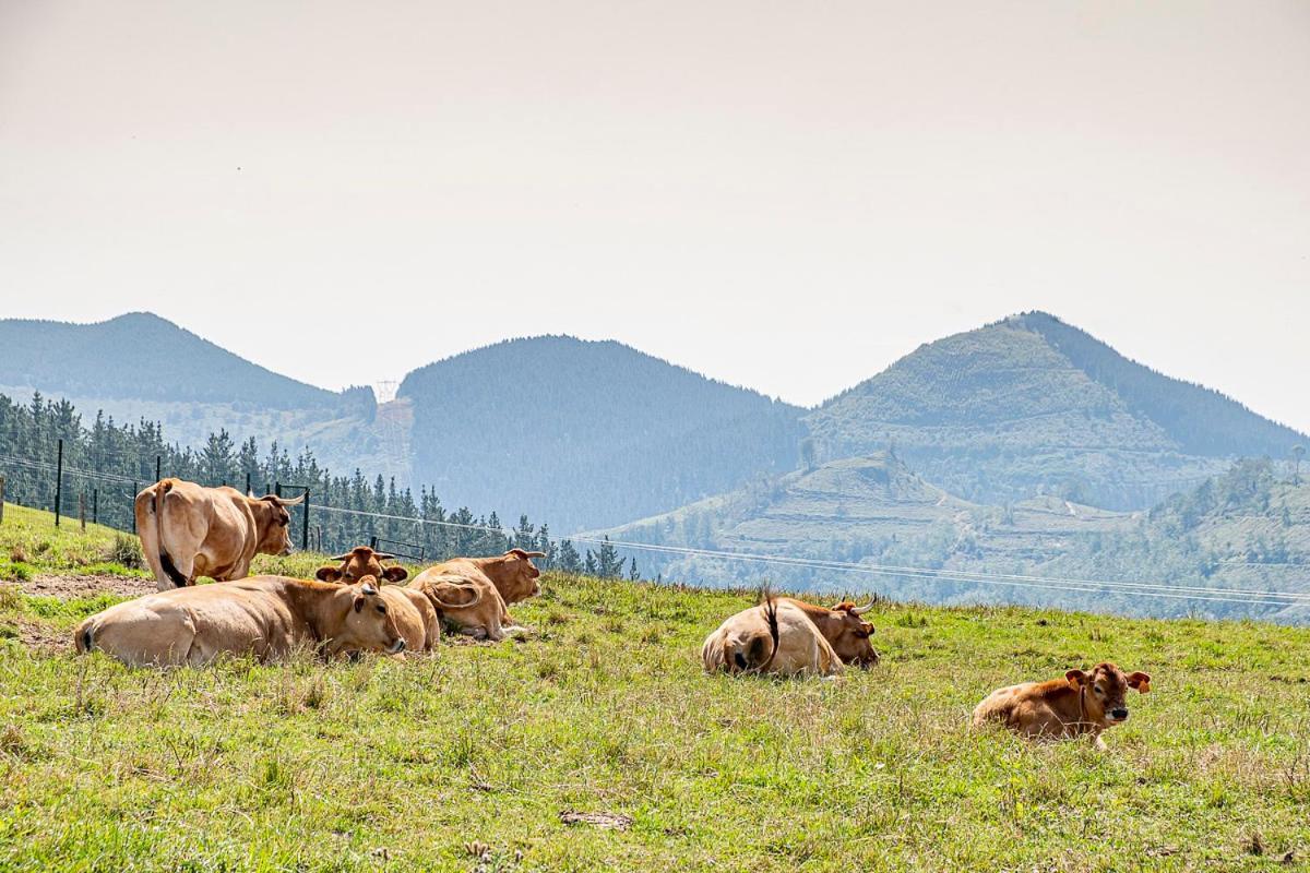 Gospodarstwo agroturystyczne Astei Nekazalturismoa