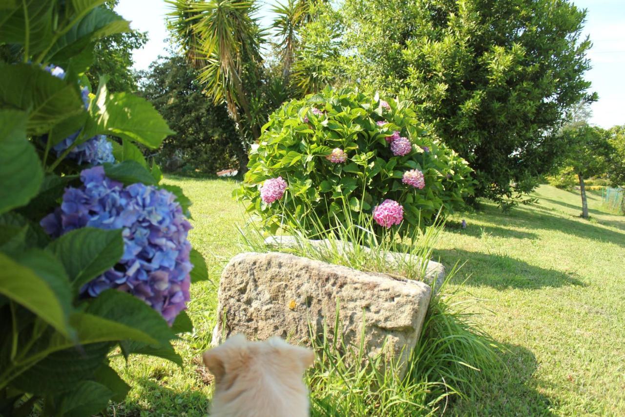 Astei Nekazalturismoa Farm stay Muxika
